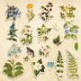 Set of die cuts Botany summer, 59pcs - 0