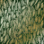 лист односторонней бумаги с фольгированием, дизайн golden fern, dark green aquarelle, 30,5см х 30,5см