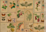 Kraft decoupage paper, 21x29,7cm, “Botanica Vintage”, #0083