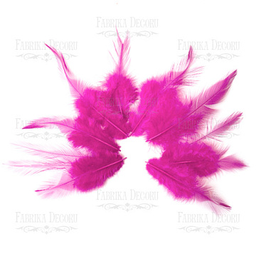 Feathers set with a tail "Fuchsia"