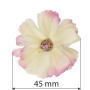 Daisy flower ivory with pink, 1 pc - 1