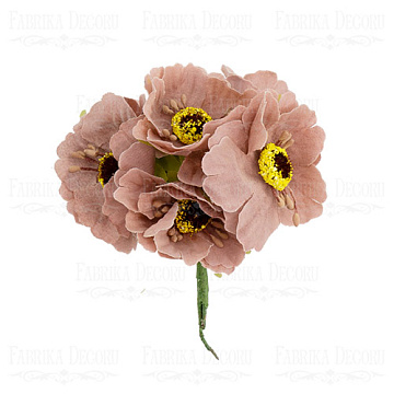 Set of poppies coffee, 6 pcs