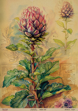 Kraftowy papier do decoupage, 29,7x42cm, „Botanica Kraft”, #0001