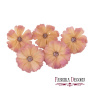 Daisy flower cream with pink, 1 pc