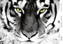 Декупажная карта Взгляд тигра, акварель #0427 21x29,7 см