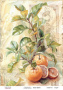 Decoupage card #0670, 21x29,7 cm