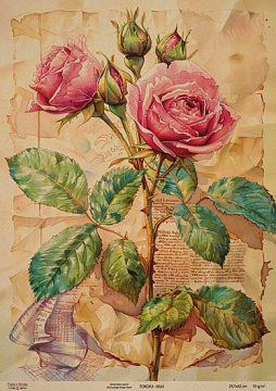 Kraftowy papier do decoupage, 29,7x42cm, „Botanica Kraft”, #0020