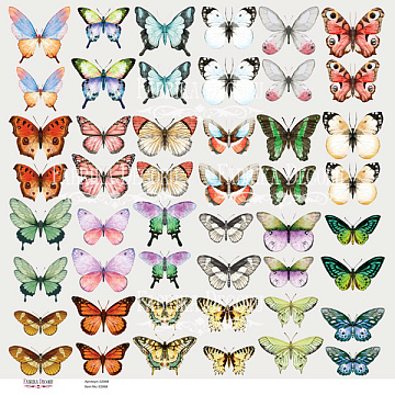 Bilderset zum Ausschneiden "Schmetterlinge-1"