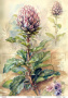 Karta do decoupage #0833, 29,7x42cm