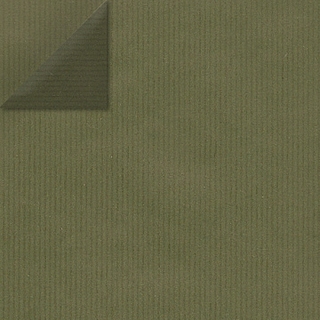 Doppelseitiger Kraftpapierbogen 12"x12" Olive/Grün