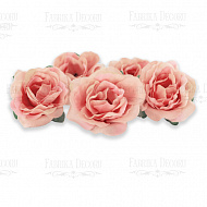 цветы розы, розово-персиковые, 1шт