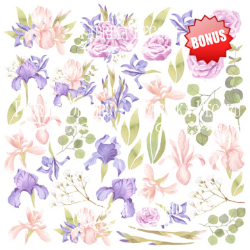 Double-sided scrapbooking paper set Majestic Iris 12"x12" 10 sheets - 2 Double-sided scrapbooking paper set Majestic Iris 12"x12" 10 sheets - 2