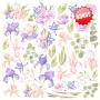 Double-sided scrapbooking paper set Majestic Iris 12"x12" 10 sheets - 0