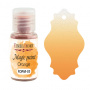 Dry paint Magic paint Orange 15ml