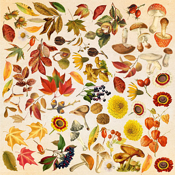 Blatt mit Bildern zum Schneiden. Sammlung "Herbstliches botanisches Tagebuch"