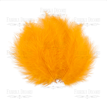 Feathers set Down "Orange"