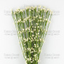 Willow sprig Ivory 1pcs - 0