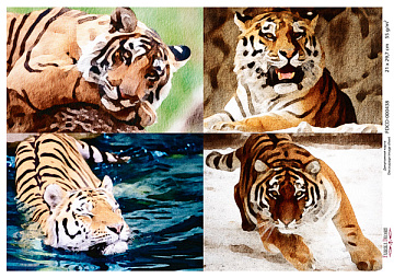 Decoupage card Tigers, watercolor #0438, 21x30cm