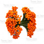 Set lacquer guelder rose berries mini Orange 20pcs