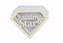 Заготовка для шейкера Christmas Star 9.6x7 см