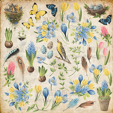 Blatt mit Bildern zum Schneiden. Sammlung "Botanik Frühling"