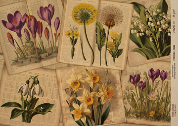 Kraft Decoupage Papier 29,7x21cm, “Botanica Kraft”, #0042