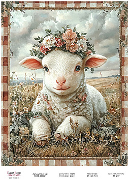 Decoupage card «Little lamb-02» #000921, 21cm x 29,7cm