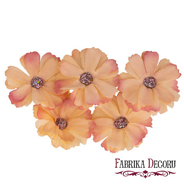 Daisy flower peach with coral, 1 pc