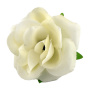 Englische Rose, Elfenbein, 1 Stück