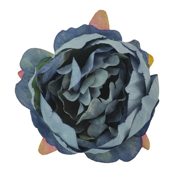 Herbaceous peony smoky blue, 1 pc - 2