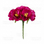 Цветы жасмина Малиновые 6 шт