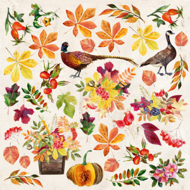 набор бумаги для скрапбукинга "botany autumn redesign" 20x20 см, 10 листов - 2 набор бумаги для скрапбукинга "botany autumn redesign" 20x20 см, 10 листов - 2