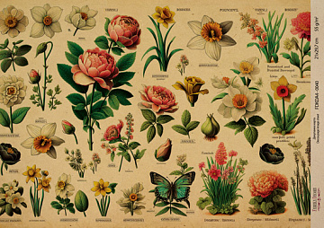 Kraft Decoupage Papier 29,7x21cm, “Botanica Kraft”, #0040