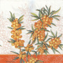 Decoupage napkin "Sea buckthorn"