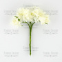 Set of apple flowers cream, 6 pcs