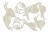  Набор чипбордов Botany exotic 10х15 см #725 color_Milk