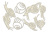  Набор чипбордов Botany exotic 10х15 см #725 color_Milk