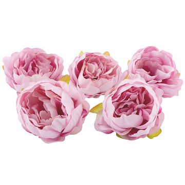 Herbaceous peony pink, 1 pc