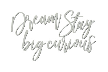 Chipboard "Dream big, stay curious" #430 - 2