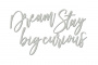 Чипборд Dream big, stay curious 10х20 см #430