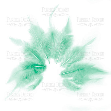 Feathers set with a tail "Mint"