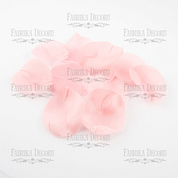 Petals are chiffon gently pink, 10pcs