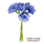 Bouquet of Carpathian bells, color Blue, 6 pcs