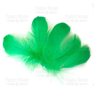 Feathers set maxi "Green"