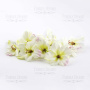  Flowers hydrangeas white with a green middle, 1 PC