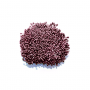 Set of small stamens 2-sided Marsala 20pcs