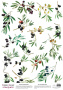 Deco Pergament farbiges Blatt Oliven, A3 (11,7" х 16,5")
