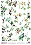 Deco vellum colored sheet Olives, A3 (11,7" х 16,5")