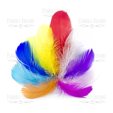 Feathers set mini "Multicolored"