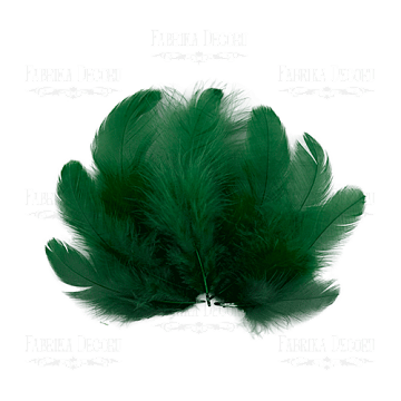 Feathers set mini "Dark green"